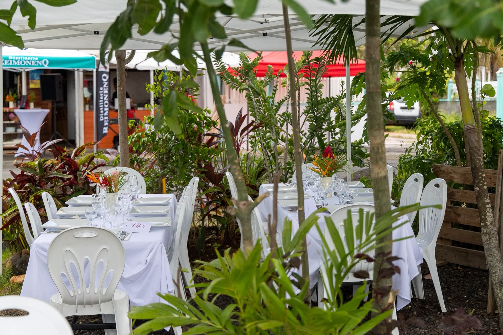 Terrasse végétalisée du Quai Saint-Charles